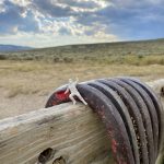 Wolford Mountain Reservoir Colorado Army Guy and Horseshoes