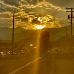 Capturing a Morning Walk